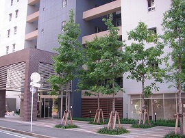 松尾建設㈱（仮称）ヴィセント到津新築工事